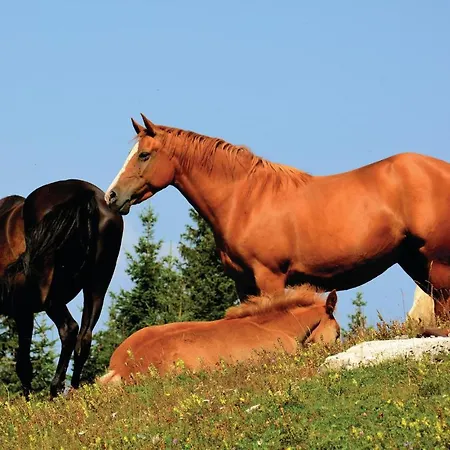 Beautiful In W/ Sauna, Wifi And 2 Bedrooms 公寓 莫济列